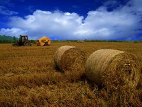 安徽蚌埠市五河生物質(zhì)熱電1號機組并網(wǎng)發(fā)電