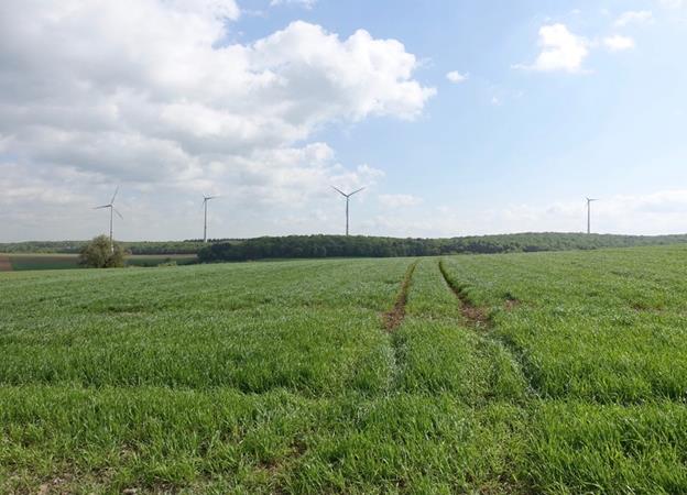 12兆瓦風電場采用Enercon E-115渦輪機正式開通