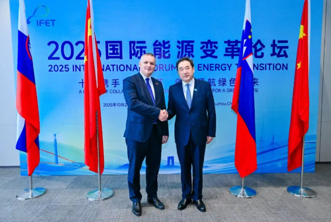 國家能源局主要負責(zé)人會見斯洛文尼亞環(huán)境、氣候和能源部部長